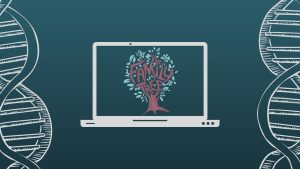 Best Family Tree Software