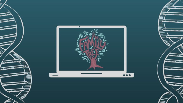 7 Best Family Tree Software: Reviews and Comparisons